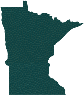 minnesota-vikings